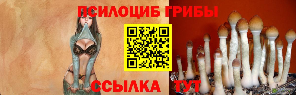 Галлюциногенные грибы мицелий Дятьково